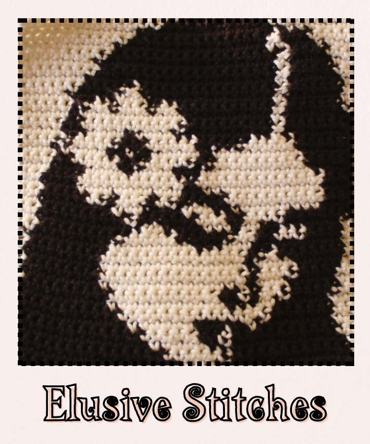 Elusive Stitches
